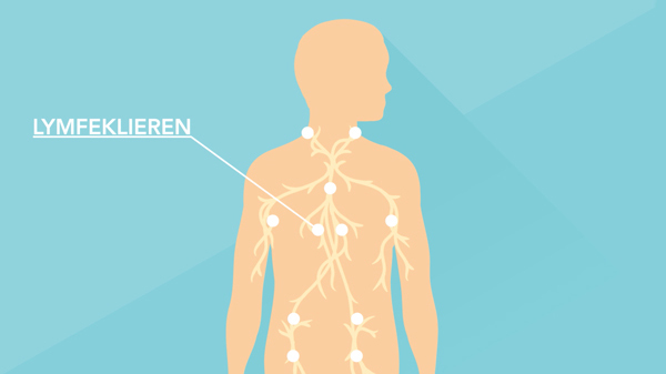 Animatie lymfeklier Medicijn in Beeld